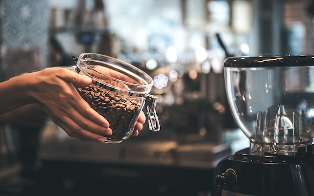 Proprietario della caffetteria Mostra chicchi di caffè di qualità tostati e cotti in un barattolo di vetro