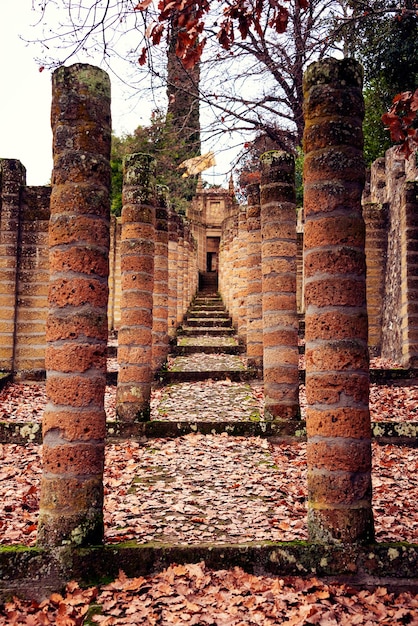 Prospettiva di vecchie colonne di pietra rossa in autunno