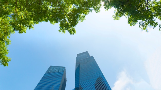 prospettiva esterno modello blu vetro parete edifici moderni con foglie di albero verde