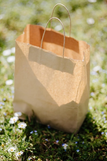 Prossimo piano dei chicchi di caffè sul campo