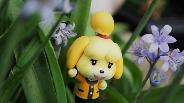 Prossimo piano dei fiori gialli sulla pianta