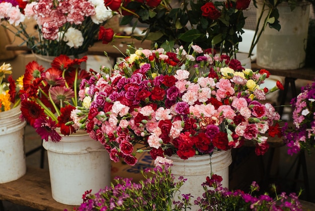 Prossimo piano dei fiori