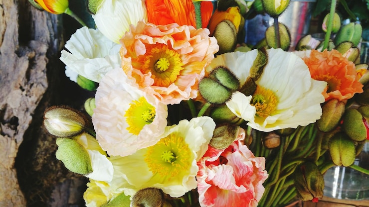 Foto prossimo piano dei fiori