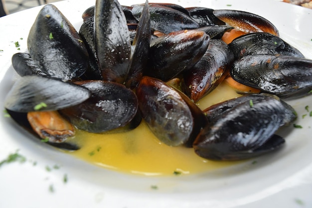 Prossimo piano dei molluschi serviti in piatto