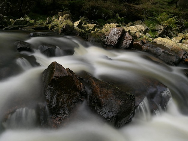 Prossimo piano dell'acqua che scorre