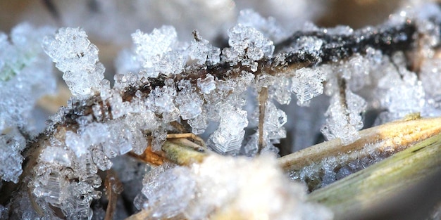 Prossimo piano dell'acqua congelata