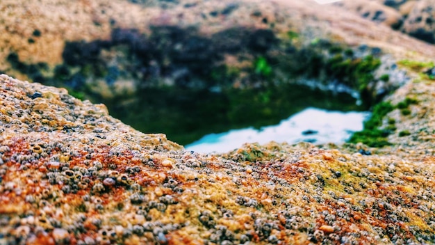 Prossimo piano dell'acqua raccolta nella roccia
