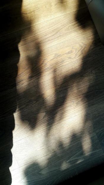 Prossimo piano dell'ombra sul legno