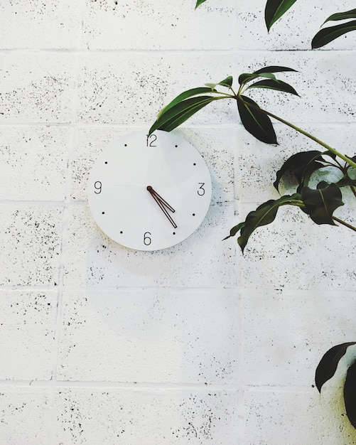 Prossimo piano dell'orologio sul muro