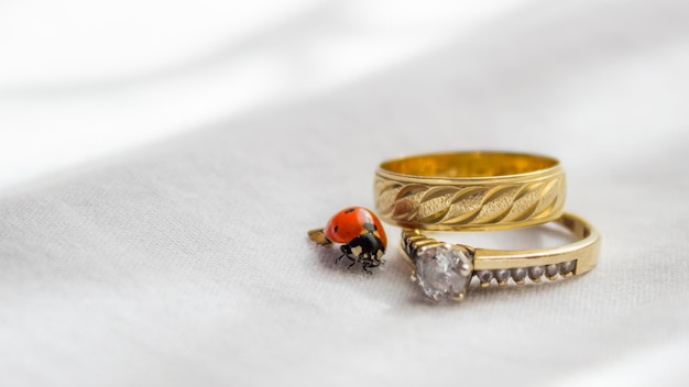 Prossimo piano della coccinella con le anelle nuziali sul tavolo
