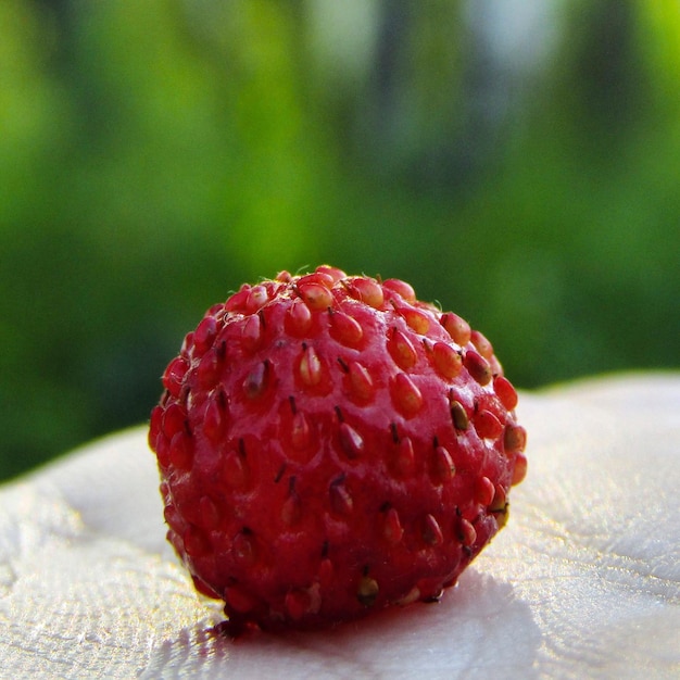 Prossimo piano della fragola sulla tavola