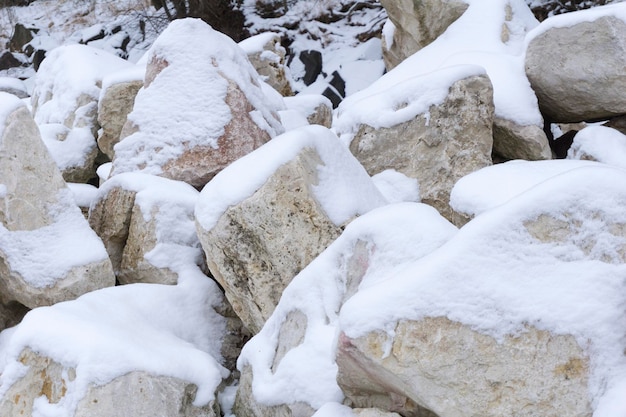 Prossimo piano della neve