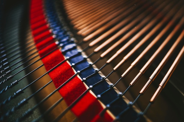 Prossimo piano delle corde