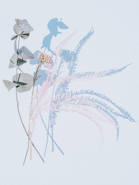 Prossimo piano di fiori bianchi