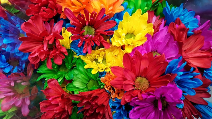 Foto prossimo piano di fiori multicolori
