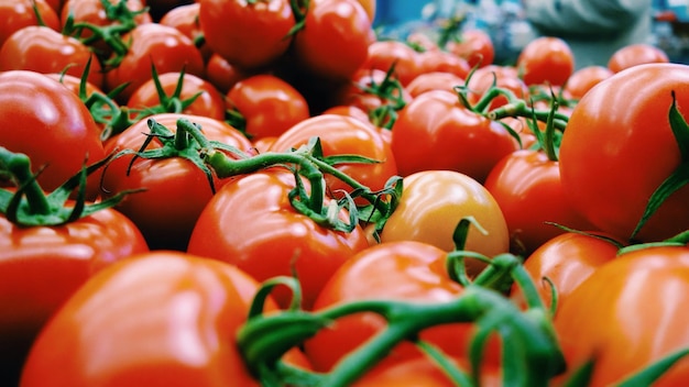 Prossimo piano di pomodori in vendita in una bancarella del mercato