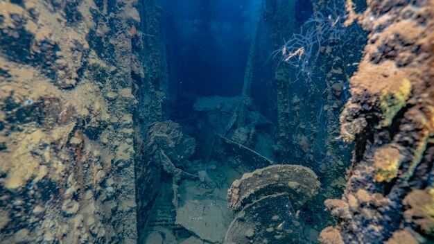 Prossimo piano di roccia in mare