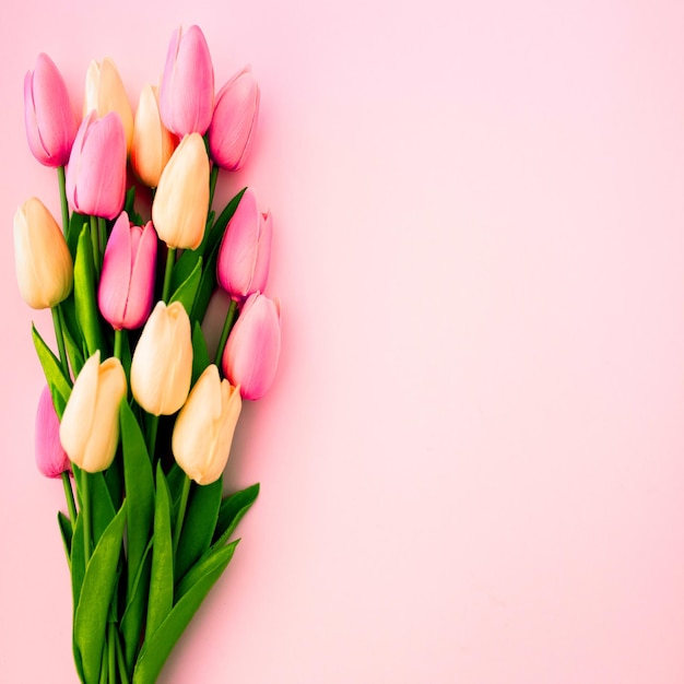 Prossimo piano di tulipani rosa