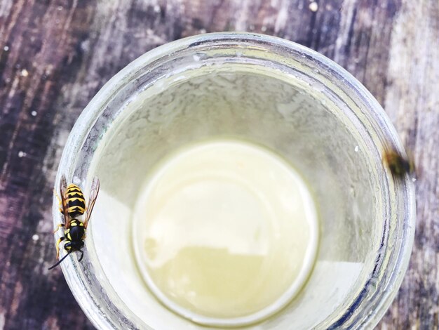 Prossimo piano di un'ape sull'acqua