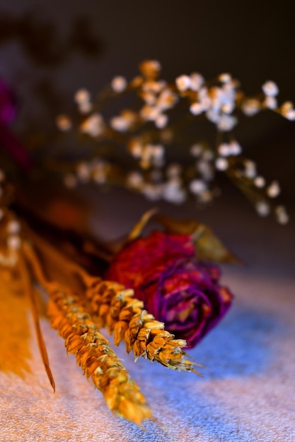 Prossimo piano di un fiore sul tavolo