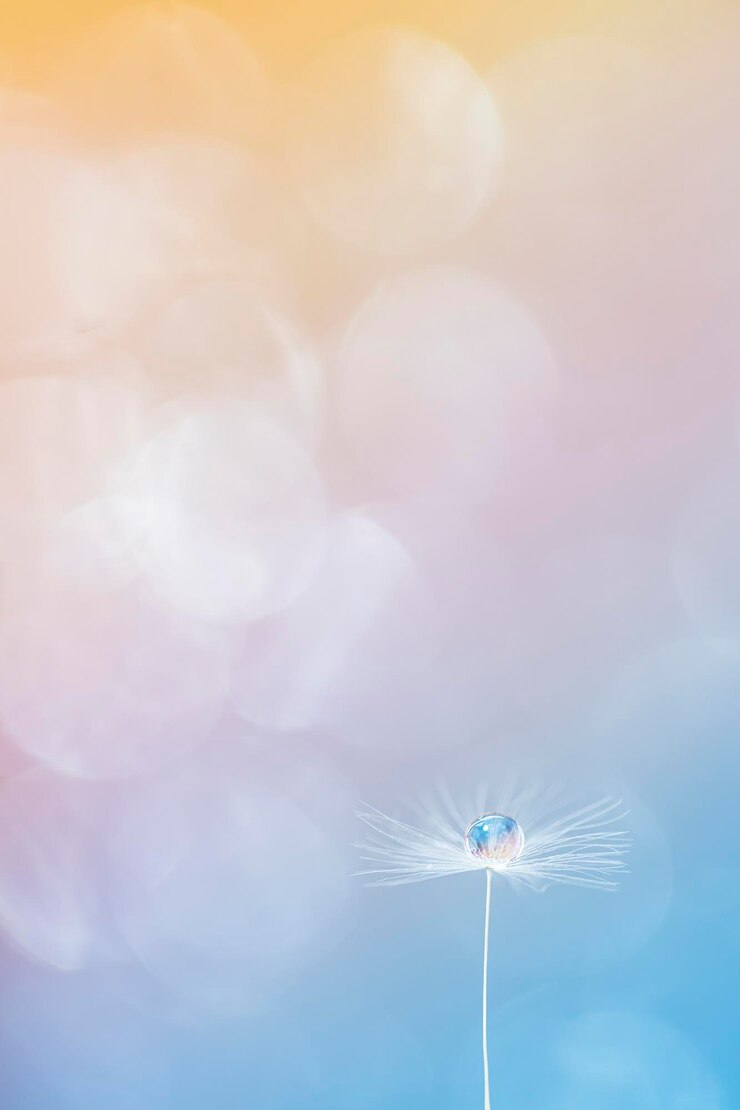 Foto prossimo piano di un insetto su un fiore bianco
