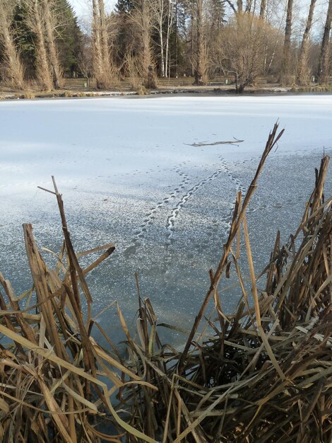 Prossimo piano di un lago ghiacciato contro il cielo