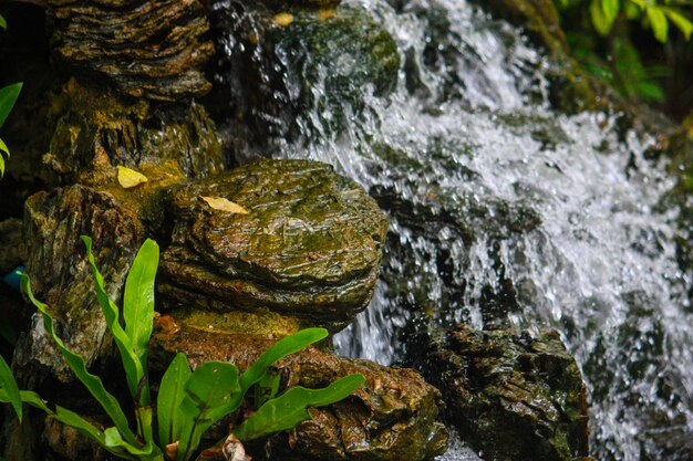 Prossimo piano di un ruscello che scorre tra le rocce