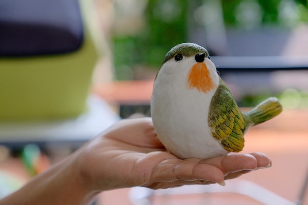 Prossimo piano di un uccello che tiene la mano