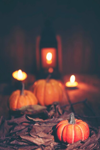 Prossimo piano di una zucca illuminata