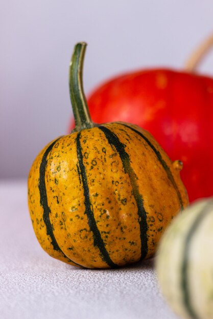 Prossimo piano di una zucca sul tavolo