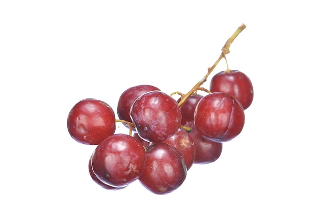 Prossimo piano di uva rossa su sfondo bianco
