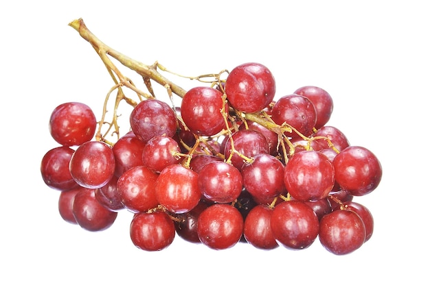 Prossimo piano di uva rossa su sfondo bianco