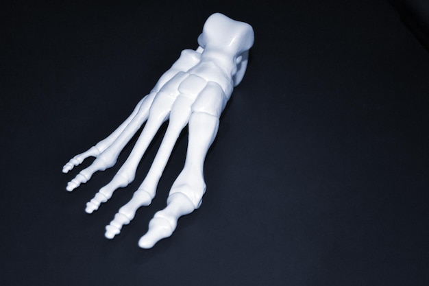 Prototipo bianco dello scheletro del piede umano stampato su stampante 3d su superficie scura