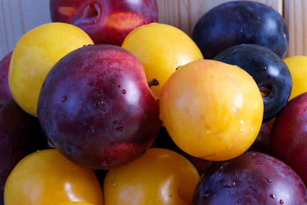 Prugne dolci mature multicolori di diverse varietà su una macrofotografia ravvicinata di un tavolo di legno