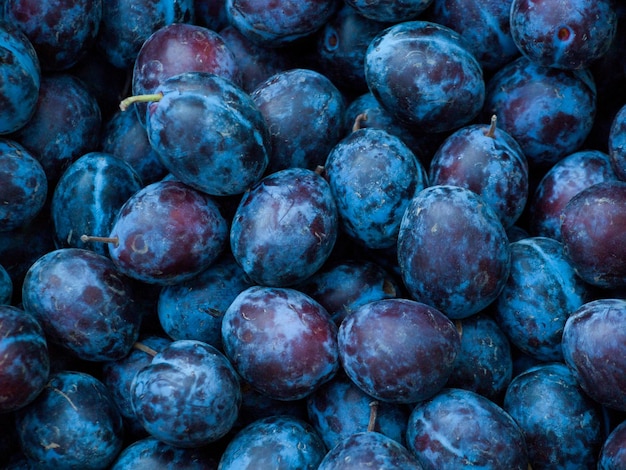 Prugne fresche al mercato locale dell'agricoltore.