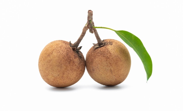 Prugne fresche di sapodilla con foglia isolata su sfondo bianco