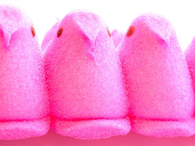 Pulcini di marshmallow di Pasqua di fila.