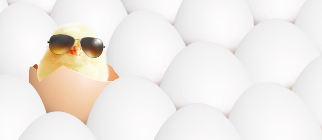 Pulcino carino divertente con occhiali da sole e uova