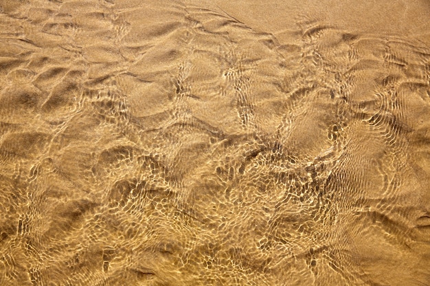 Pulisca la vista superiore di struttura dell&#39;acqua della spiaggia