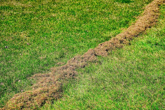 Pulizia del prato dall'erba secca e marcia dopo l'inverno Prato verde dopo il primo piano invernale Cura dell'erba primaverile Foto di alta qualità