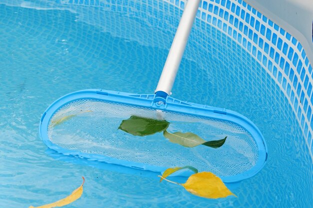 Pulizia di una piscina con uno skimmer a rete La lunga rete pulisce le foglie colorate dalla superficie dell'acqua