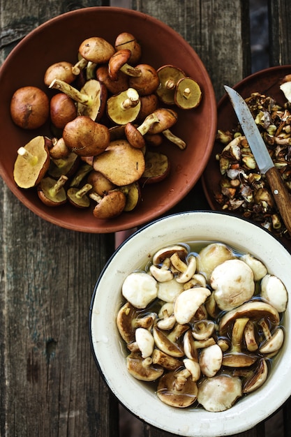 Pulizia funghi di bosco