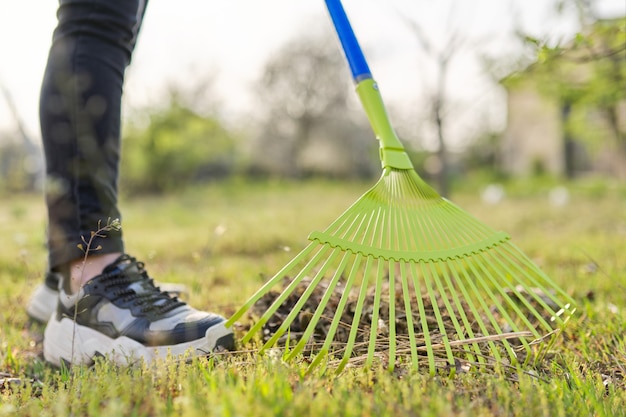 Pulizie di primavera nel giardino, rastrello del primo piano che pulisce l'erba verde da erba secca e foglie