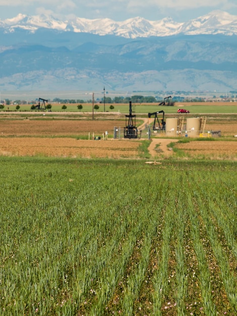 Pumpjack sul campo agricolo in Colorado.