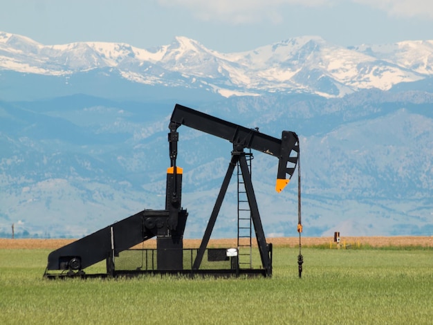 Pumpjack sul campo agricolo in Colorado.