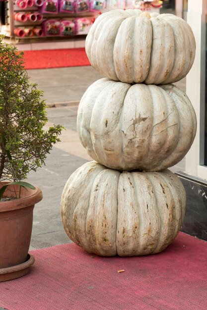 Pumpkins ammassate in attesa di essere utilizzate per la cottura