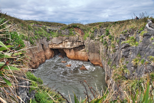 Punakaiki è rocce del pancake sull'isola del sud, Nuova Zelanda