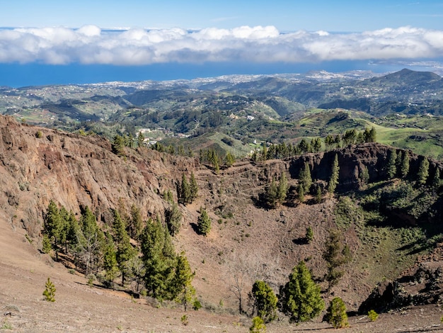 Punto di vista dei pini di Galdar vicino al villaggio di Artenara nell'isola di Grand Canarie in Spagna