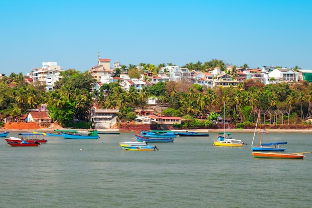 Punto di vista del capo di Dona Paula Goa