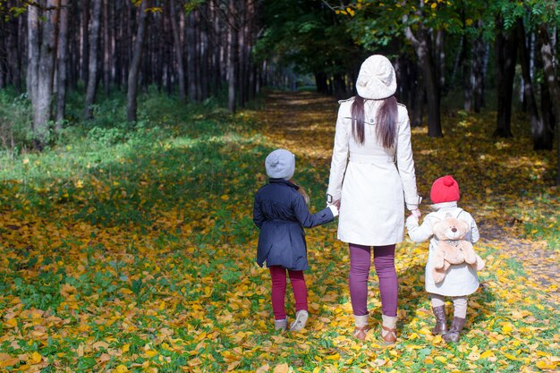 Punto di vista posteriore di giovane madre e delle sue piccole figlie sveglie che camminano sul prato di autunno al giorno soleggiato